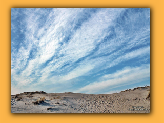 Am Strand von Nymindegab (6).jpg
